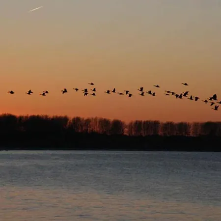 Daire Herrenhaus App.06 *