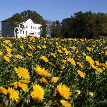 Herrenhaus App.06 Daire *