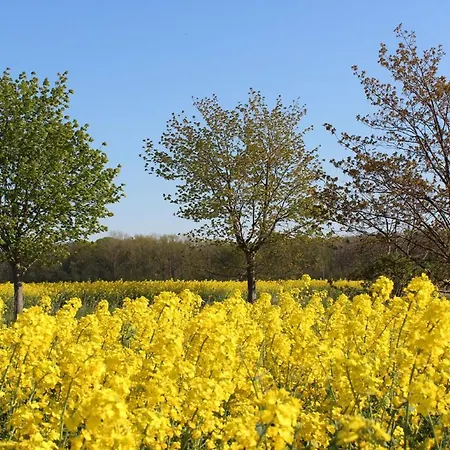 Herrenhaus App.06 Daire Blengow