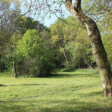 Herrenhaus App.06 Daire